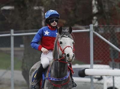 Inlägg 22 av Arabiskt Fullblod med titeln Ponnygalopp 