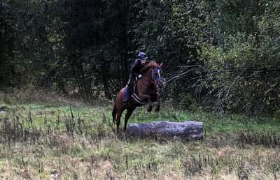Inlägg 20 av Korsningsponny med titeln Hoppträning