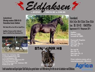 Inlägg 17 av Kallblodstravare med titeln Avelshingst 