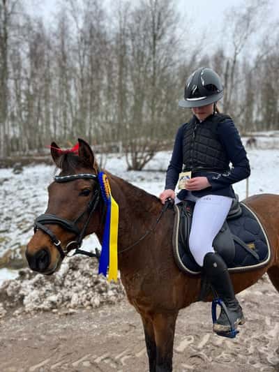 Inlägg 5 av Kaspisk Häst med titeln Årets första vinst 🥇 