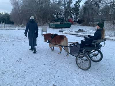 Inlägg 20 av Sportkörning med titeln Körnings-övning
