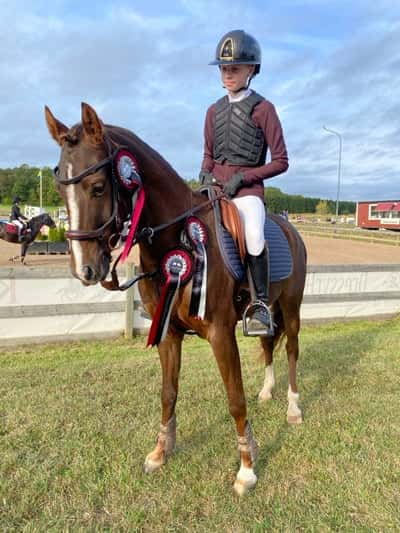 Post 42 of Show jumping with title Ungponny sm kvalade🎉❤️