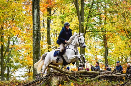 Bild av Otrolig connemara för de större klasserna!⭐️
