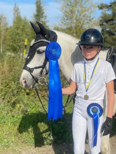 Post 25 of Show jumping