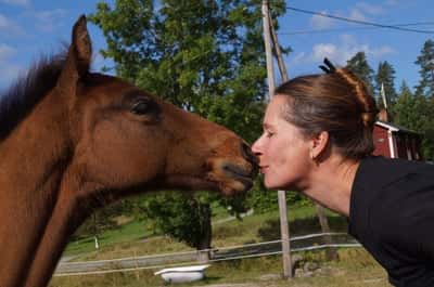 Inlägg 120 av Allround