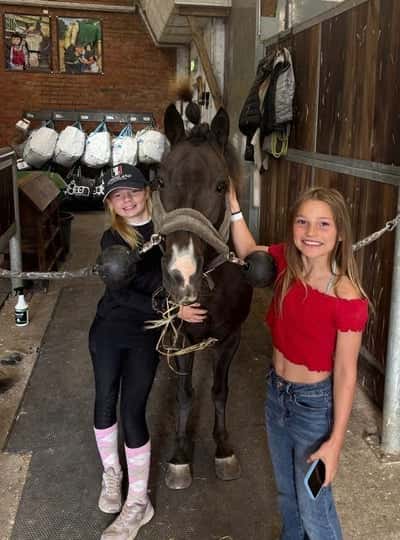 Inlägg 6 av Irländsk Sporthäst med titeln Cookie flyttade till sin nya familj i Norrtälje 
