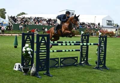Inlägg 11 av Belgiskt Varmblod med titeln Falsterbo ☀️