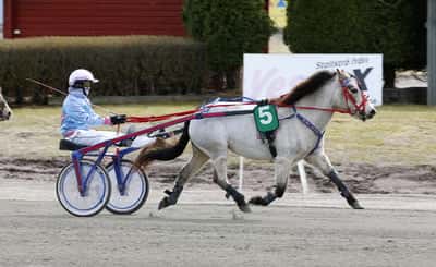 Inlägg 3 av Ponnytrav med titeln Ponnytrav 