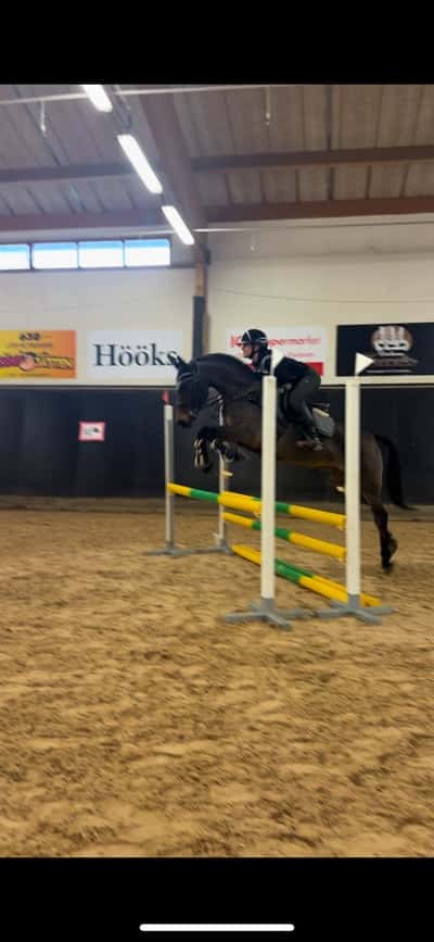 Inlägg 38 av Allround