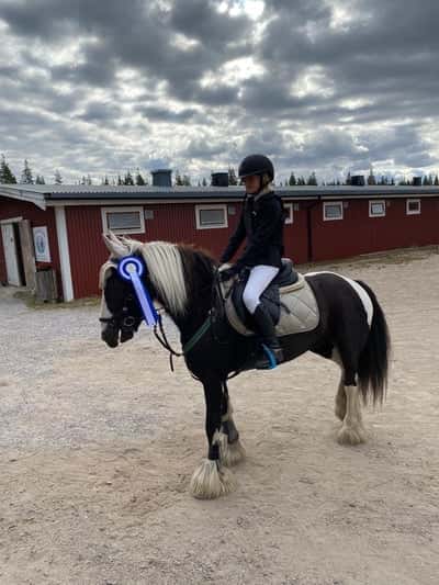 Inlägg 4 av Tinker med titeln Tävling i Sveg