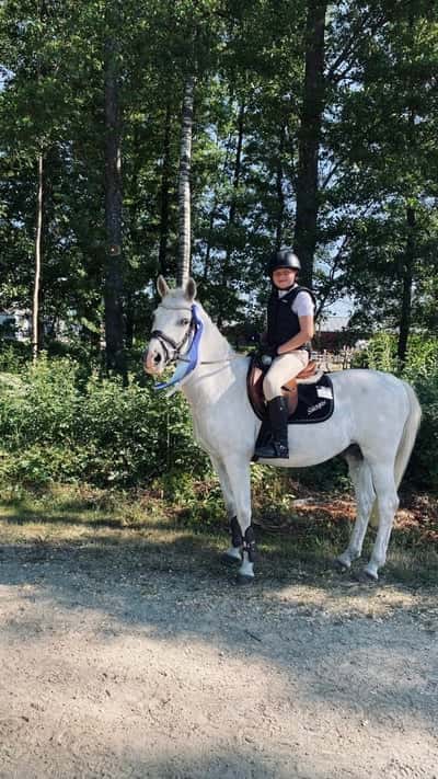 Post 426 of Show jumping with title 🐴Börjes cup❤️
