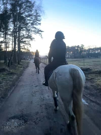 Inlägg 33 av Allround