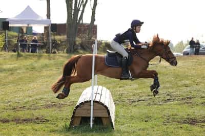 Inlägg 24 av Fälttävlan