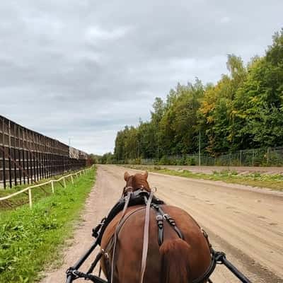 Inlägg 4 av Unghäst med titeln Marietta 6223