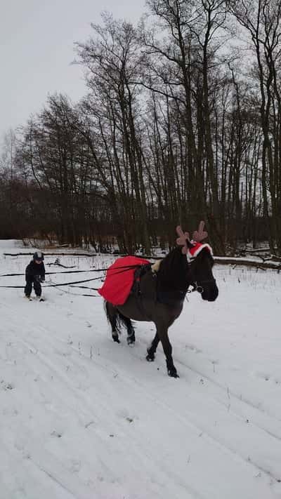 Inlägg 5 av Allround med titeln Kryddgårdens Bigarrå 