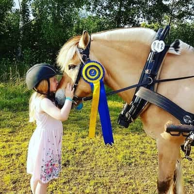 Post 16 of Western with title Vann Fjord-SM 