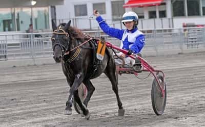 Inlägg 125 av Ponnytrav med titeln Saknar tävlingar😍