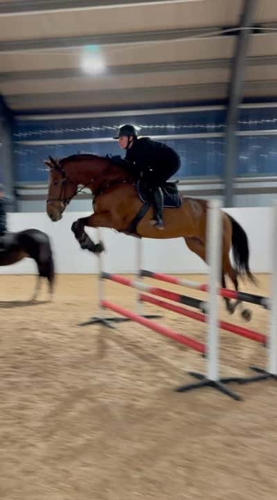 Inlägg 31 av Allround