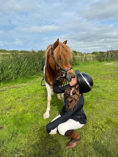 Inlägg 118 av Allround