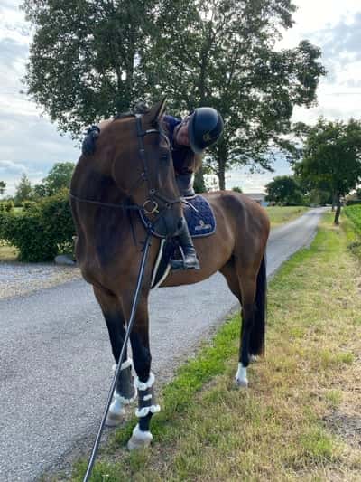 Inlägg 10 av Allround