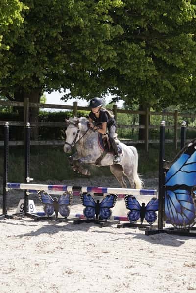 Inlägg 60 av Allround med titeln fina ponnyn🥹💗