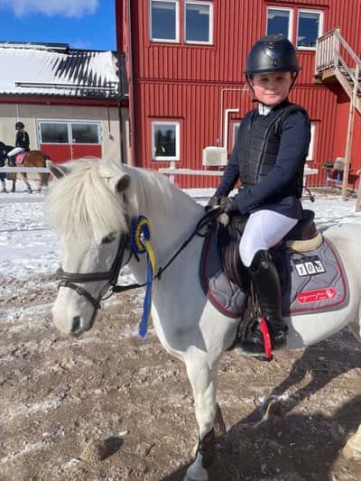 Post 220 of Show jumping with title Idol