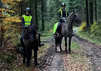 Inlägg 11 av Kigermustang