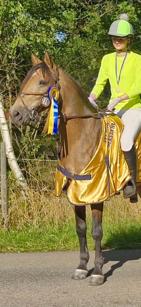 Bild av Fantastisk fälttävlansponny