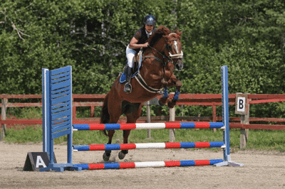 Inlägg 12 av Korsningsponny med titeln Hopptävling 