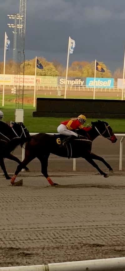 Inlägg 28 av Galopp med titeln Mitt första lopp på henne 