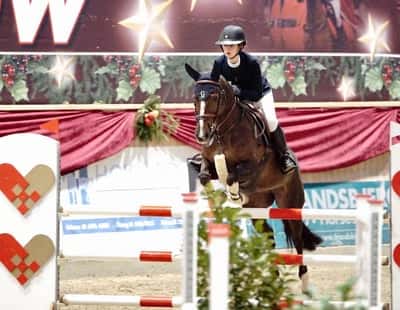 Inlägg 83 av Allround