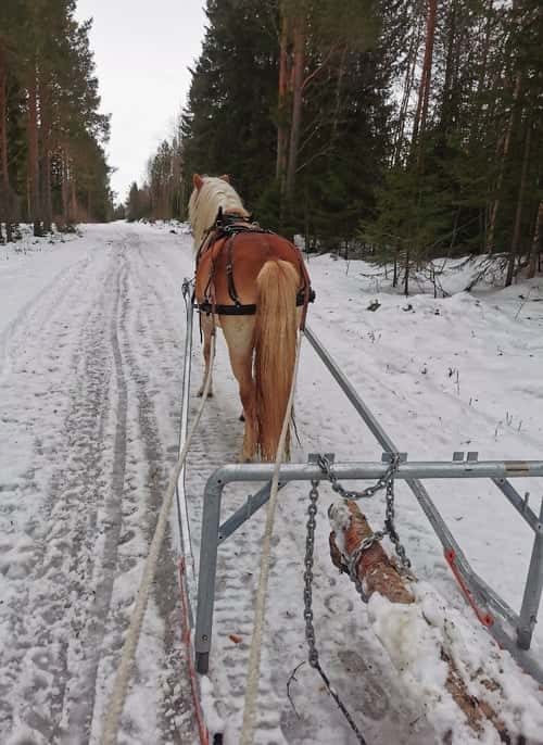 Bild av Trevlig kille 