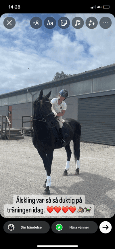 Inlägg 3 av Stambok KWPN