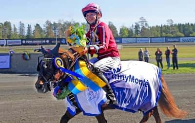 Inlägg 1 av Monté med titeln DPK’s ponnytravgala 