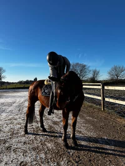 Inlägg 8 av SWB med titeln Chapallan❤️❤️