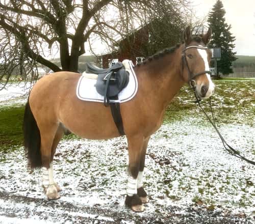 Bild av Underbare Miramiss