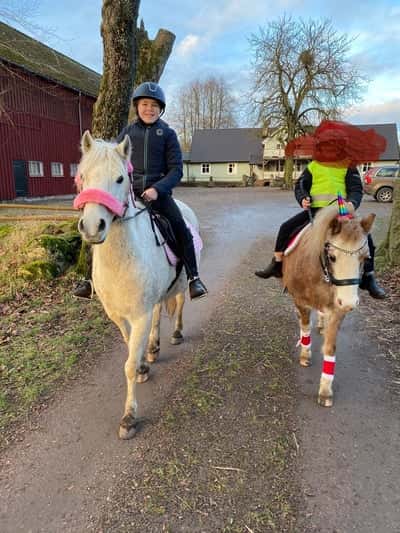 Inlägg 107 av Allround med titeln Så fin när jag red ut igår 