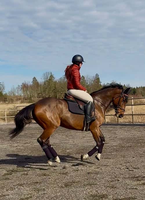 Bild av En pigg tjej med mkt blod som älskar att jobba