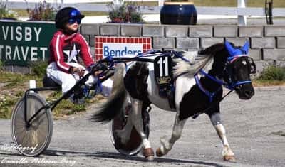 Inlägg 122 av Ponnytrav med titeln DPK’s Ponnytravgala 