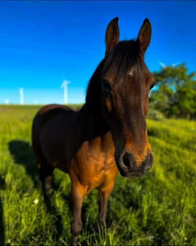 Inlägg 96 av Allround