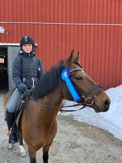 Post 108 of Show jumping with title Älskade häst❤️