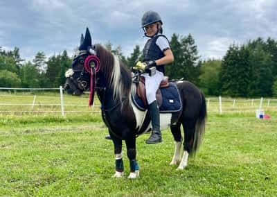 Post 87 of Show jumping with title Hopptävling 