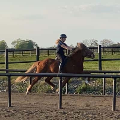 Tími frá Efri-Þverá