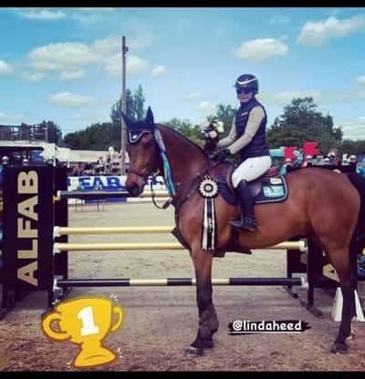 Post 198 of Show jumping