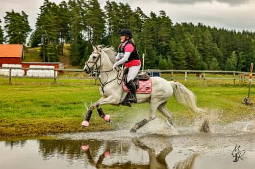 Image of 🌟Oslipad diamant för de högsta klasserna🌟