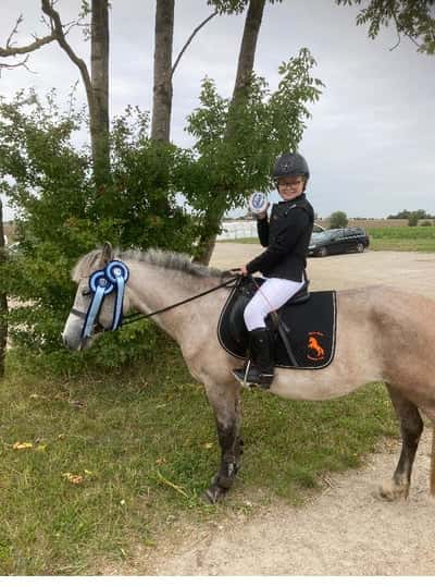 Post 375 of Show jumping