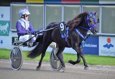 Inlägg 17 av Trav med titeln Örebro 18/9