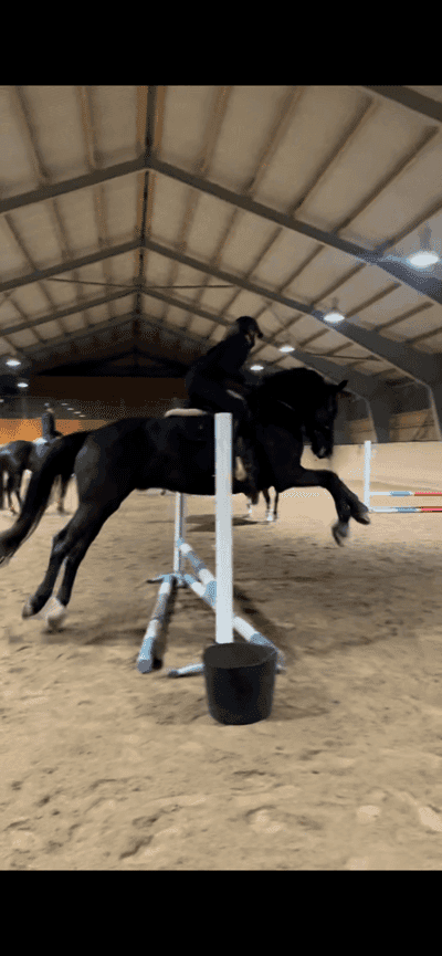 Inlägg 4 av Westfahler med titeln TT lever livet