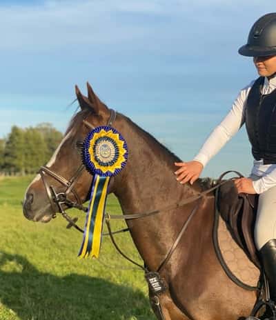 Inlägg 2 av Irländsk Sporthäst