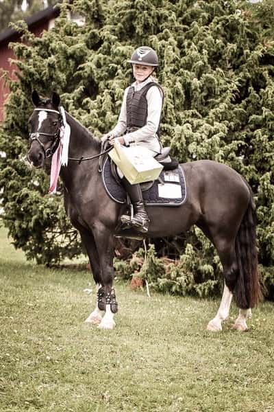 Inlägg 10 av Showridning